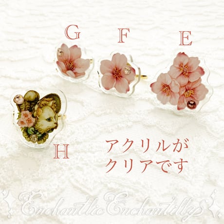 Dolled Up Ring  (桜シリーズ)