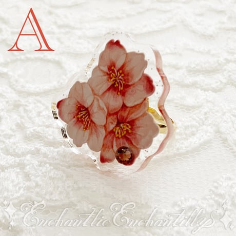Dolled Up Ring  (桜シリーズ)