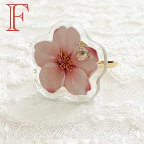 Dolled Up Ring  (桜シリーズ)