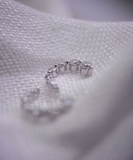 【 Limited 】 Moissanite earring - silver