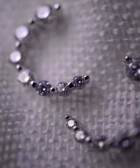【 Limited 】 Moissanite earring - silver