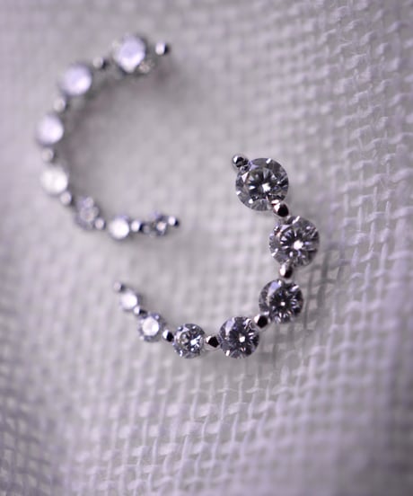 【 Limited 】 Moissanite earring - silver