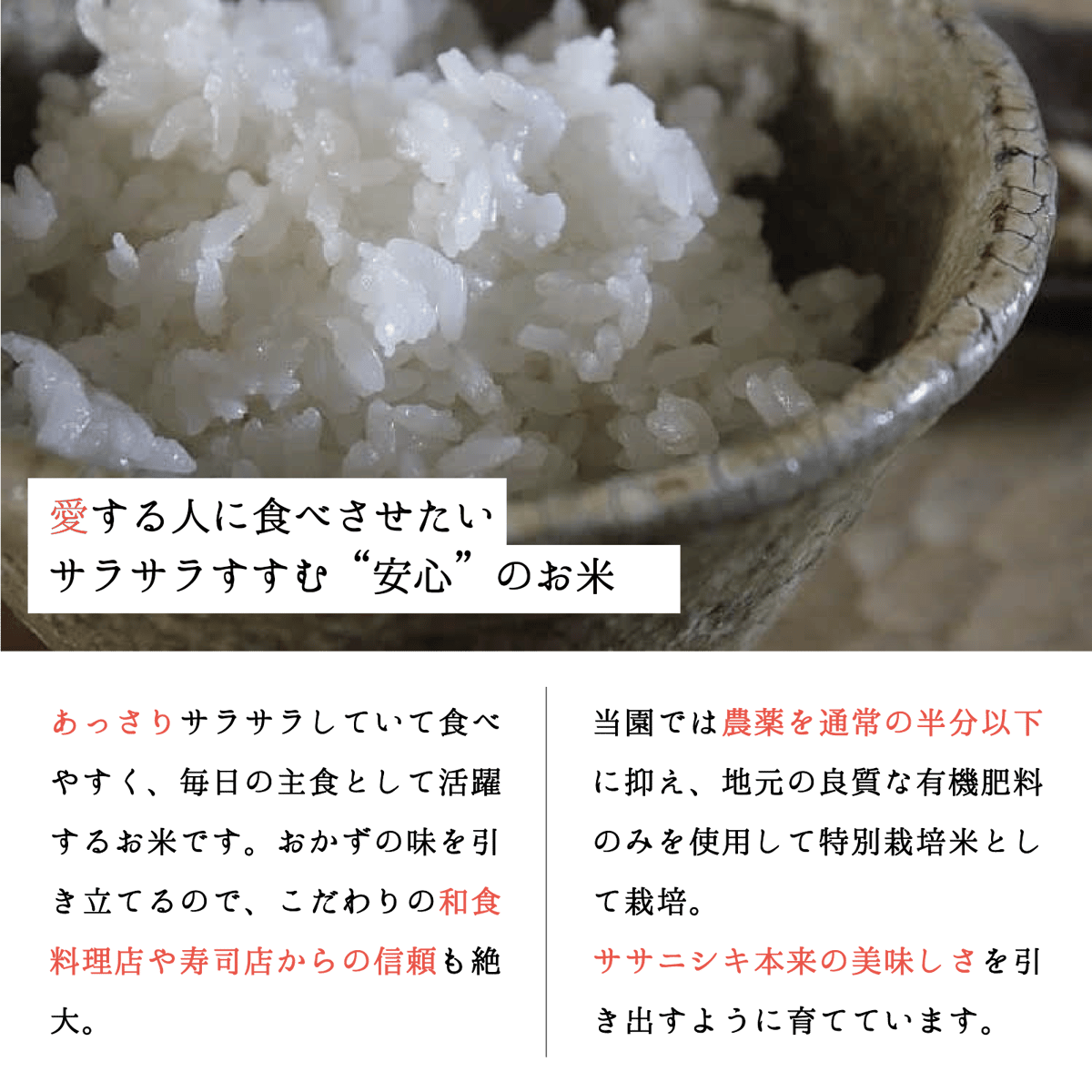 令和7年新米】サラサラすすむ