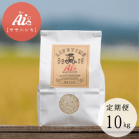 【定期便】ササニシキ 白米 10kg