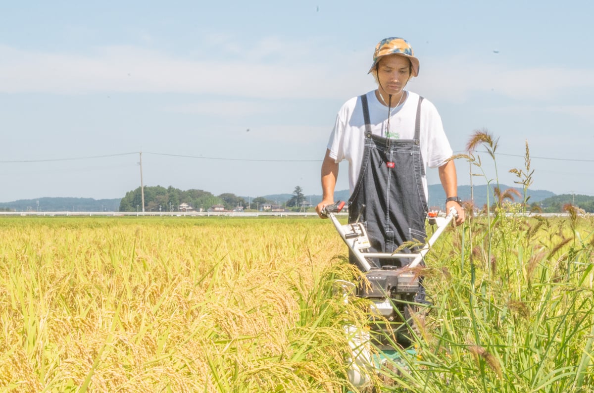 令和7年新米】想いを込めた