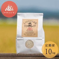 【定期便】ササニシキ 玄米 10kg