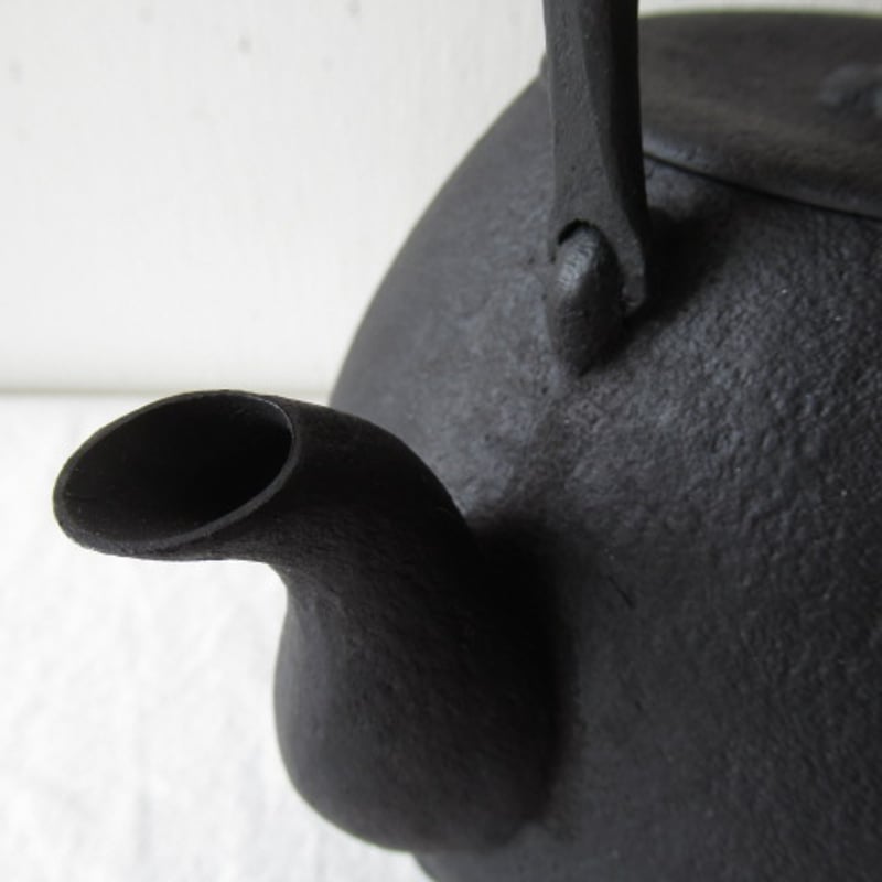 釜定 鉄瓶 / 秋の実 肌 南部鉄器 | AKI interior space