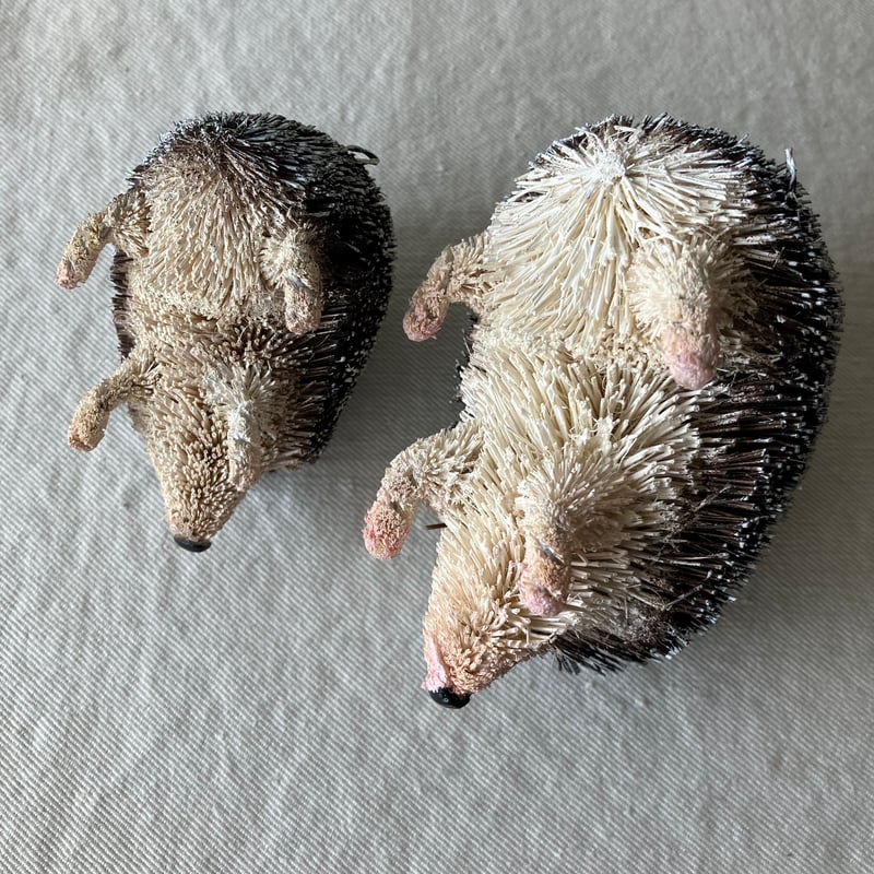 ハリネズミページ ハリネズミ（横向き）｜デコレーション｜株式会社 東洋石創