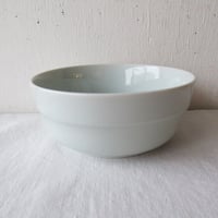 TRIPWAREトリップウェア 浅ボウル130  色：水釉