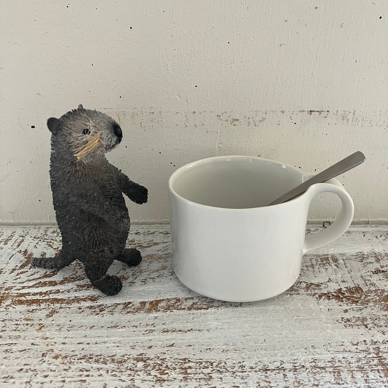 コツメカワウソ カワウソさくら 超かわいい！ぬいぐるみをぎゅーしないと寝られ