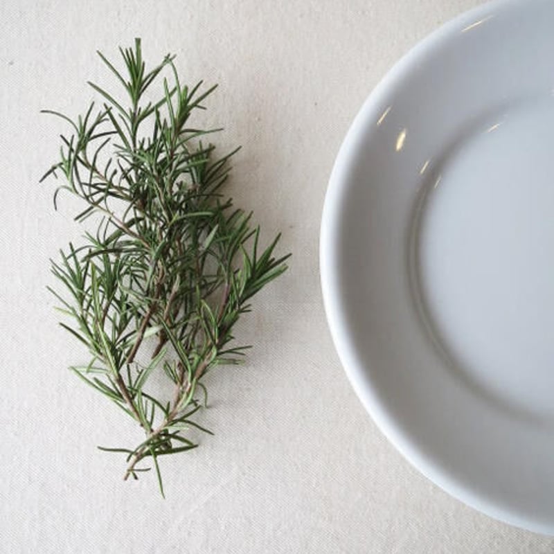 ブオンリコルド　イタリア　皿　CD day 2013 ブオンリコルド イタリア 皿 CD day 2013 - メルカリ