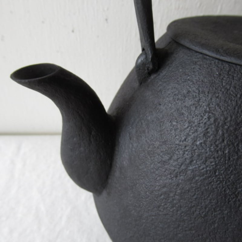 釜定 鉄瓶 / 秋の実 肌 南部鉄器 | AKI interior space