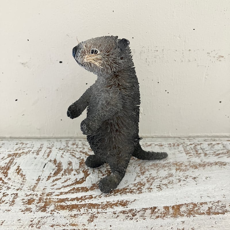コツメカワウソ コツメカワウソ | 動物図鑑 | ZFC.jp