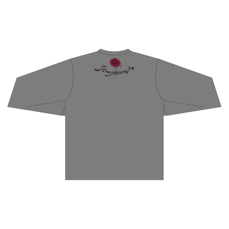 Silver Lining Tour 2024 Long Sleeve Tee （GRAY）