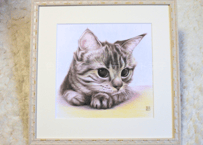 猫の色鉛筆画