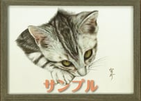 猫の色えんぴつ画 D-N8-A4-X-A