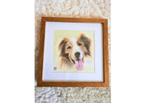 犬の色鉛筆画