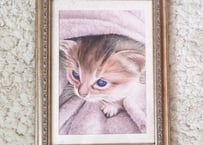 恥ずかしがりやの猫