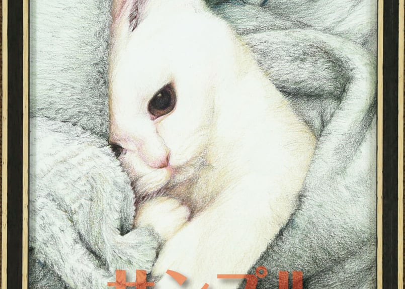 色えんぴつ画 原画 D-N7-A4-X-A | 写真を越える？色鉛筆画