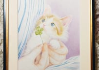 猫と四葉のクローバー