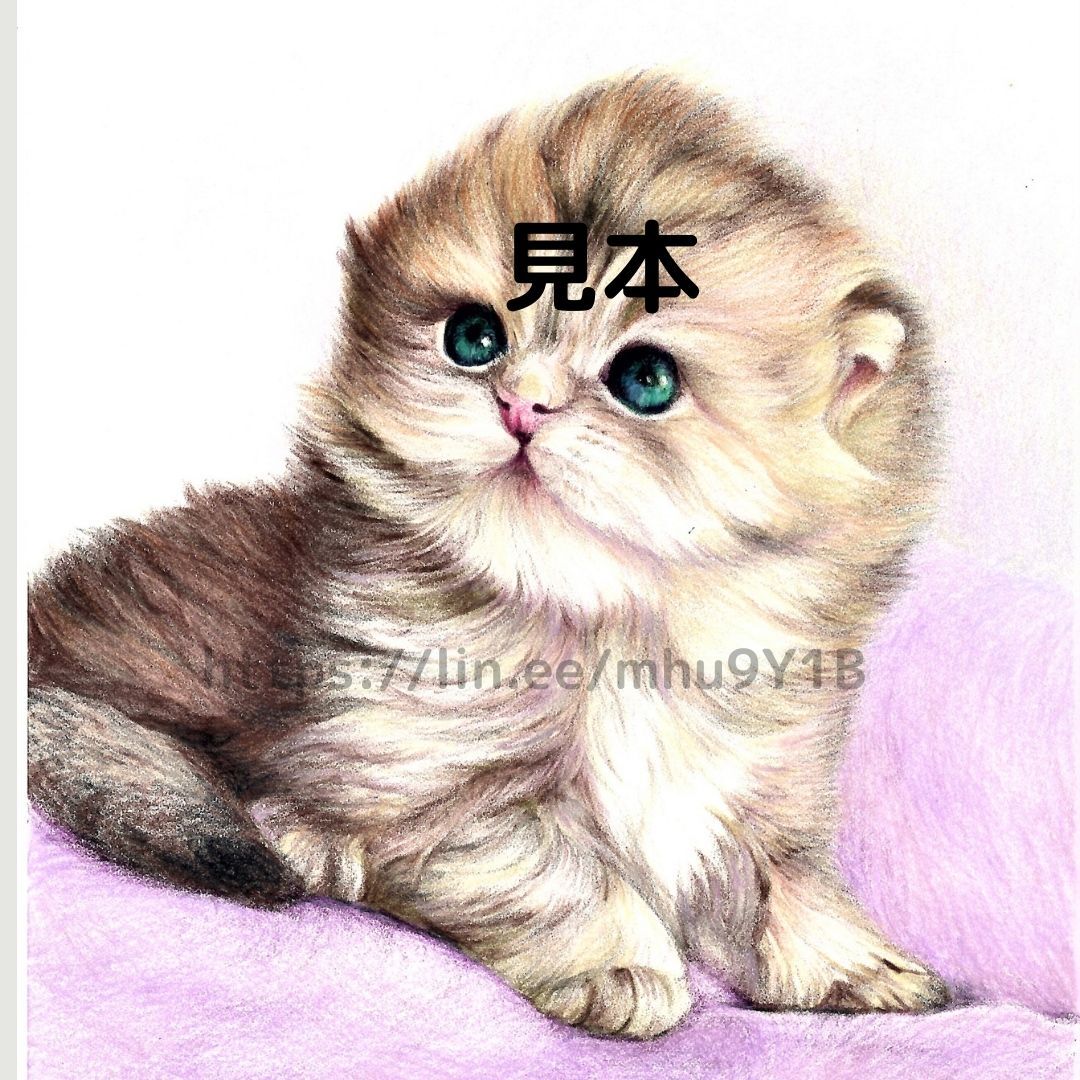 猫（緑の瞳）の色鉛筆画 | 写真を越える？色鉛筆画