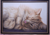 猫の色鉛筆画