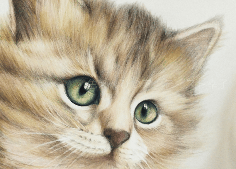 作品名: 猫 /色鉛筆画 /ケント紙 /B5サイズ /原画 作品名: 猫 /色鉛筆画 /ケント紙 /B5サイズ /原画