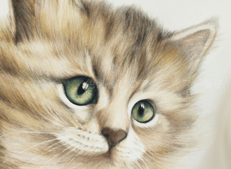 猫の色鉛筆画 B5 | 写真を越える？色鉛筆画