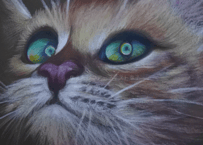 猫の色鉛筆画　A4
