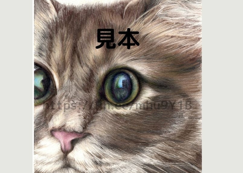 猫、ブルーの瞳 A4額青 | 写真を越える？色鉛筆画