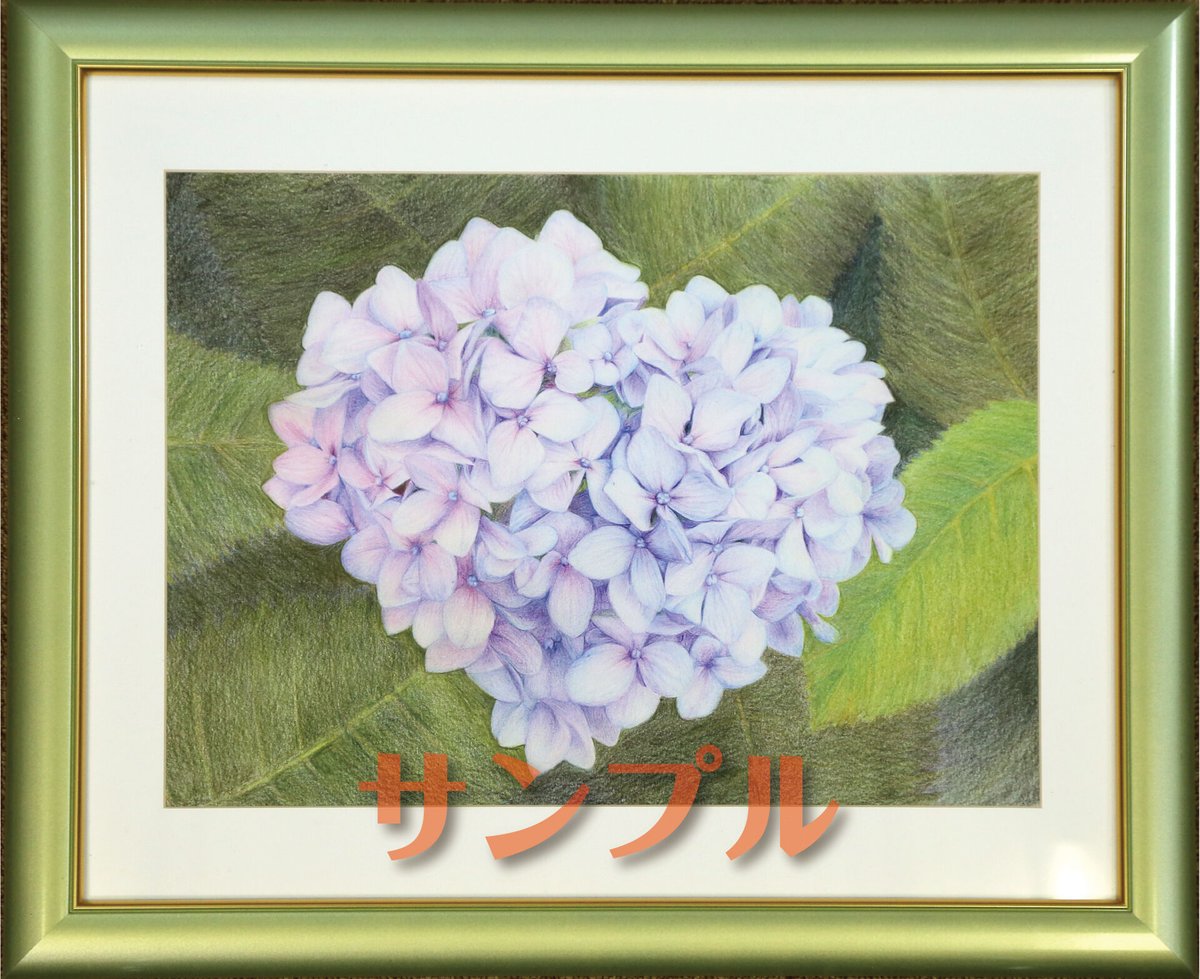 色鉛筆画 キャベツ太郎(原画) 色えんぴつ画 原画 H-紫3-四切-〇-G | 写真を越える？色鉛筆画