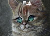 猫の色鉛筆画　A4
