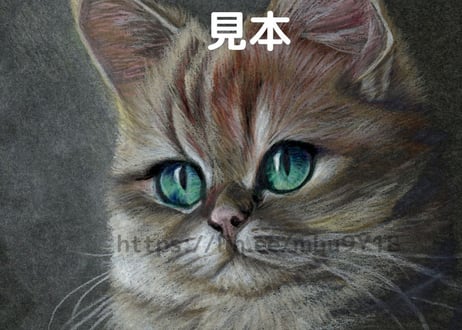 猫の色鉛筆画　A4
