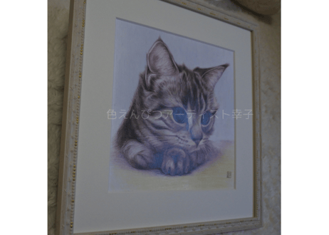 猫の色鉛筆画
