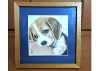 犬の色鉛筆画