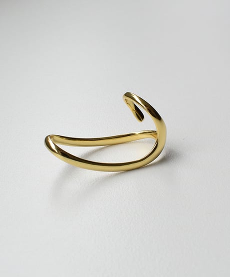 ring-a02033　SV925 Two Finger Ring