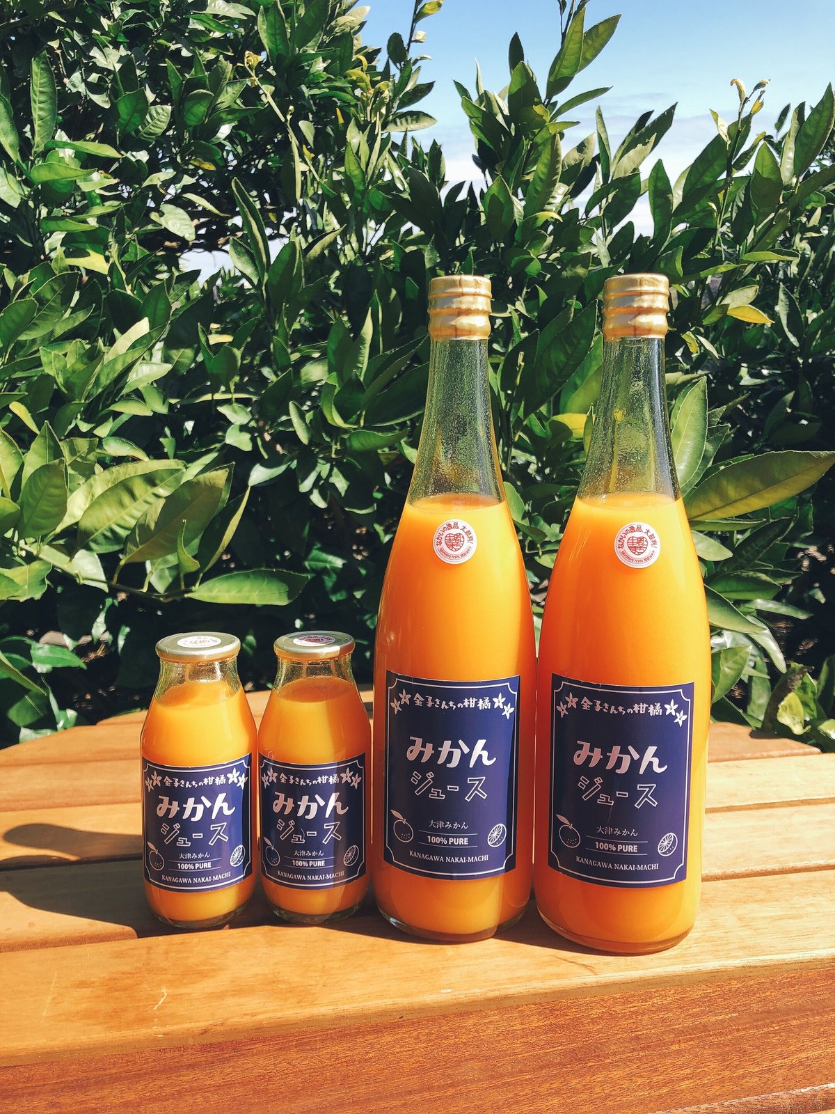 みかん讃歌 大津みかんジュース（180ml）10本 | 里都まちなかいSTORE