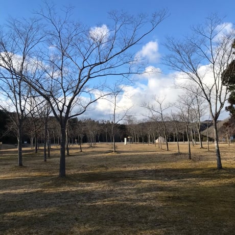 （１０）⼿持ちキャンプサイト(駐⾞券1台分付き)【Acoustic Lounge THE CAMP 2026】in 京都　ハピろー！の森