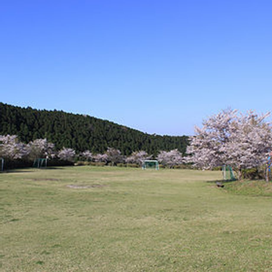 64b6be595793b500307ac737