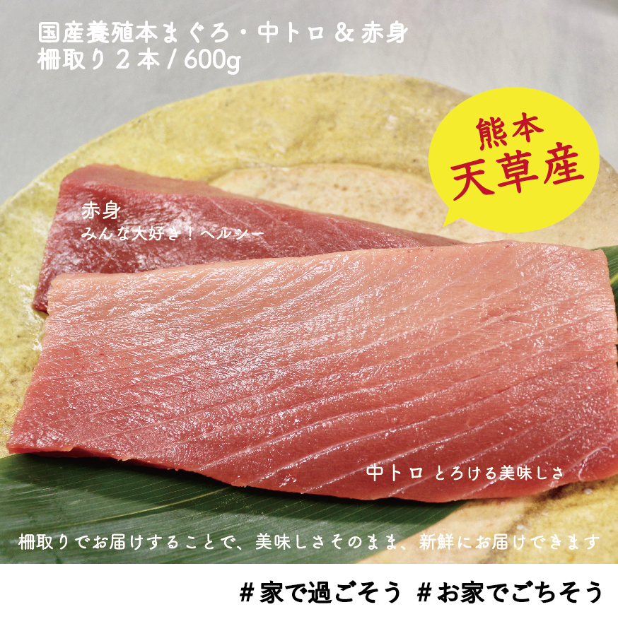 天草産！養殖本まぐろ・中トロ&赤身 600g | yumeshoku・ユメショク