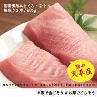 天草産！養殖本まぐろ・中トロ2本 600g