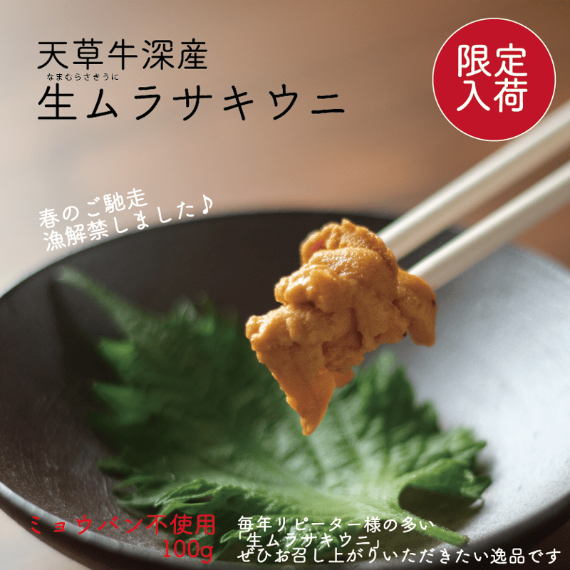 うに 近日販売】熊本牛深直送！生ムラサキウニ100g 今年も販売スタート