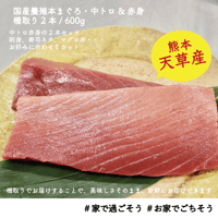 天草産！養殖本まぐろ・中トロ&赤身　600g