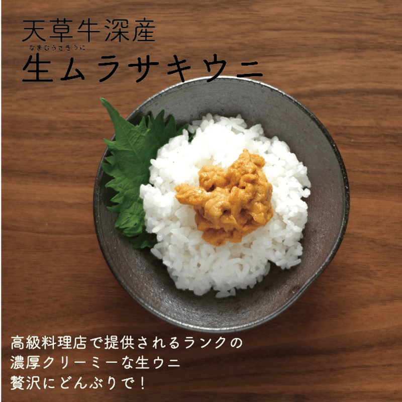 近日販売】熊本牛深直送！生ムラサキウニ100g 今年も販売スタート