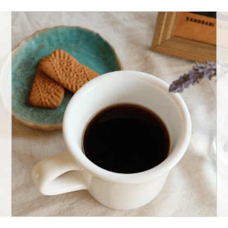 【月に1回　コーヒーバッグ ≪ラベルレス≫　50個セット　 定期配送サービス】
