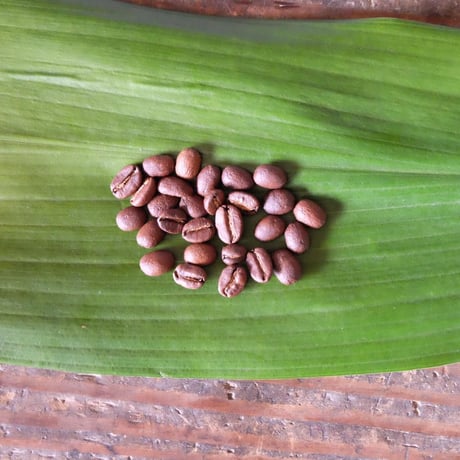 【コロンビア　トモニ】　　　　　中煎り 250g