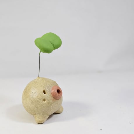 「ふたば君」今から伸びたい君へ♪植物から芽が出るときって一番勢いがある時です♪