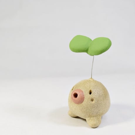 「ふたば君」今から伸びたい君へ♪植物から芽が出るときって一番勢いがある時です♪