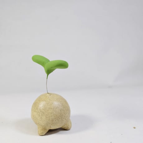 「ふたば君」今から伸びたい君へ♪植物から芽が出るときって一番勢いがある時です♪