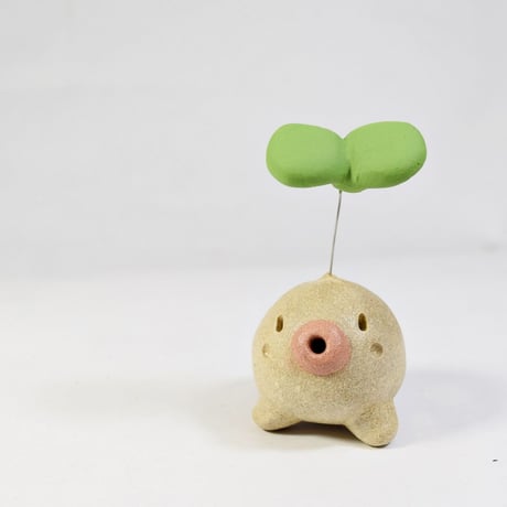 「ふたば君」今から伸びたい君へ♪植物から芽が出るときって一番勢いがある時です♪